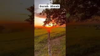 Qurantranslation ✨️ urdu shortsviral shorts nature islamiccontent [upl. by Marsland]