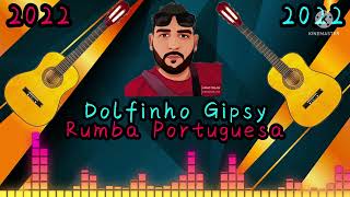 NOVA RUMBA PORTUGUESA 2022 DOLFINHO GIPSY [upl. by Mackey]