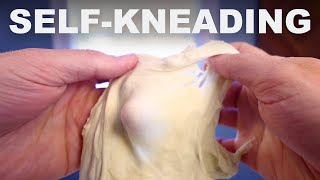 How an autolyse kneads your dough for you [upl. by Notsuj]