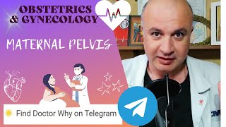 Maternal Pelvis How to Answer Exam Questions [upl. by Nils368]