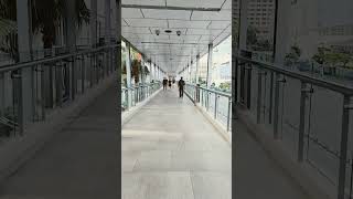 R Walk Bangkok Pt 2 [upl. by Denyse]