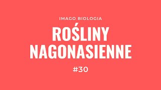 Rośliny nagonasienne [upl. by Sisxela]