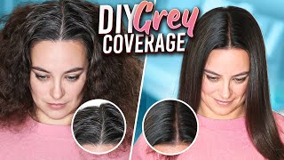 Hairdressers Guide to COVERING GREY with BOX DYE [upl. by Maddie]