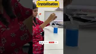 Crystallization  Copper Sulphate Crystals  Science Experiments  CBSE Class 7 shorts ytshorts [upl. by Occir]