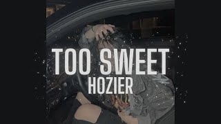 HOZIER  TOO SWEET slowed [upl. by Adnohsek]