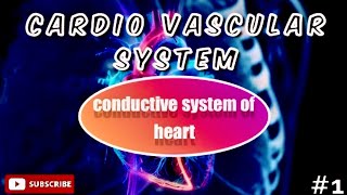 Conductive System Of Human Heart  CVS   SA Node  AV Node  Layers  Valves [upl. by Nadia]