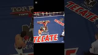 Donaire vs Montiel brutal win favouritesboxing [upl. by Uase]