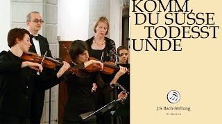 JS Bach  Aria quotMein Verlangen ist den Heiland zu umfangenquot from Cantata BWV 161 [upl. by Esened]