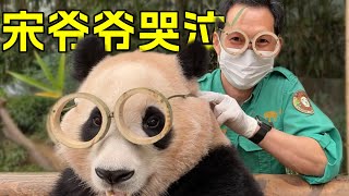 宋爷爷的哭泣에버랜드 愛寶樂園 fubao everland 大熊貓 강바오 giantpanda [upl. by Yadseut]