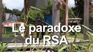 LA PARADOXE DU RSA [upl. by Chrisoula166]