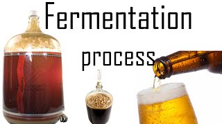 Fermentation process  fermentation biology in yeast [upl. by Pollie]