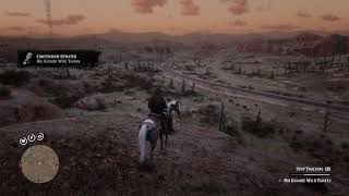 RDR2  End story spoiler Rio Grande Wild Turkey location [upl. by Nahtnaoj]