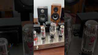 Oldchen EL34 Tube Amplifier PAIYON P420 speakerstrending music amplifier [upl. by Shauna981]