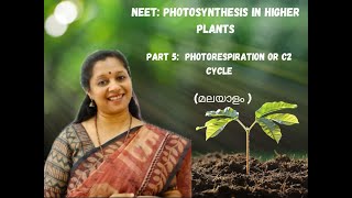 NEET Photosynthesis In Higher Plants Part5Malayalam PhotorespirationC2 cyclePCO cycle [upl. by Akeim228]