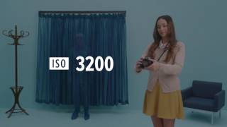 What is ISO  Photography Basics Explained [upl. by Yorgen]