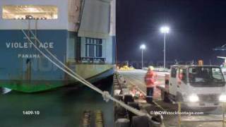 Timelapse of Dockworkers tying up container ship as it arrives  Auckland New Zealand [upl. by Brewer137]