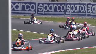 KZ2 MANCHE 2 WSK Open Series 2024 R2 La Conca [upl. by Forland39]