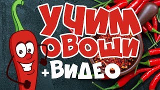 УЧИМ ОВОЩИ Развивающие мультики для детей Учим слова [upl. by Afrika]