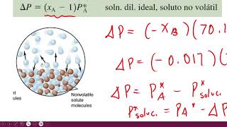 Cálculo de Disminución de la Presión de Vapor en una Solución [upl. by Nylsirk]