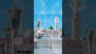 Sonar Madina Amar praner Madina ❤️❤️❤️🌹💕vairalshort sonar madina amar praner madina [upl. by The]