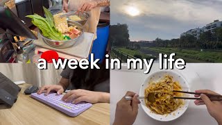 life in singapore 🍳🧽💻 85 wfh making okonomiyakidishwasherovernight oats singapore wfh vlog [upl. by Thema]