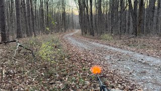 65x300 Weatherby Mag 127gr Barns lrx mid range fun [upl. by Nimar189]