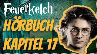 Harry Potter und der Feuerkelch Hörbuch Kapitel 17 Hörspiel Erwachsene Hörbuch Hörspiel [upl. by Larsen209]