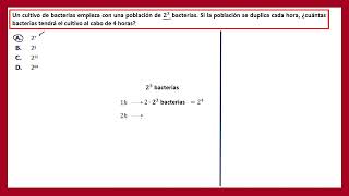 Evaluar para avanzar matemática 10° [upl. by Aerdnad]