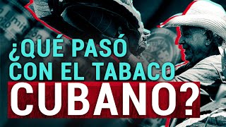 El TABACO cubano ¿es el MEJOR del mundo [upl. by Sirrom]