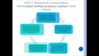 Funciones Esenciales en Salud Pública FESP OPS 2002 [upl. by Alikam]