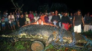 Lolong the Worlds Largest Crocodile found in the Philippines [upl. by Lokin]