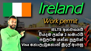 අයර්ලන්තයේ රැකියා වීසා අඩුම වියදමකින්  Ireland Critical Skills work visa 2024  No IELTS  Sinhala [upl. by Nuj]