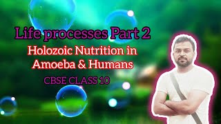 life processes  HOLOZOIC NUTRITION IN AMOEBA AND MAN DIGESTIVE SYSTEM INTRODUCTION [upl. by Yseulta]