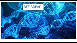 Explanied easy Bee Bread The Nutritional Powerhouse [upl. by Kirt]