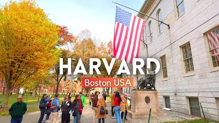 HARVARD UNIVERSITY Campus Tour 2024 4K Walking Tour Harvard University Boston Massachusetts USA [upl. by Anyar]