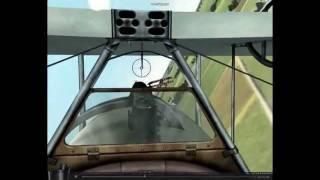 Rise Of Flight Nieuport 17 Vs Albatros DIII [upl. by Nevur655]