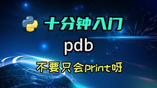 【python】来学学debugger吧，不能只会用print调试呀！ [upl. by Rafaelia]