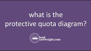 What is The Protectionist Quota Diagram  The Global Economy  IB Economics Exam Review [upl. by Eirrot]