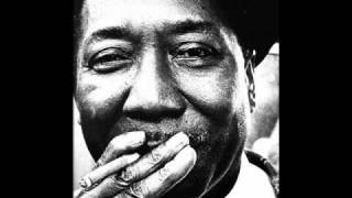 Muddy Waters covers Robert Johnson quotKindhearted Womanquot [upl. by Nytnerb271]