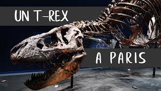 Un TRex à Paris  MNHN [upl. by Fellows]