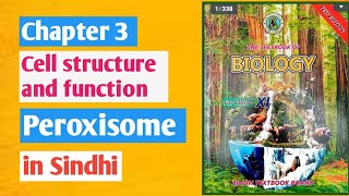 peroxisome class 11  peroxisomes chapter 3 [upl. by Eecyal]