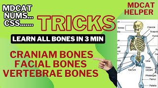 Tricks to Learn bones tricks for learning cranium facial and vertebrae bonesmdcatNumsCSS [upl. by Ahseet984]