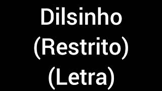 Dilsinho  Restrito letra  legenda [upl. by Iralam]