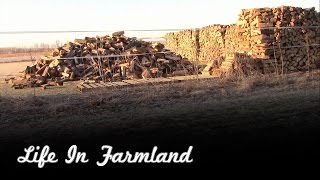 How I Stack My Firewood and Why I Do it This Way [upl. by Retsila]