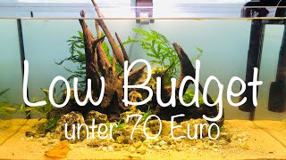 Low Budget Aquarium unter 70€ aquaristik [upl. by Lugo442]