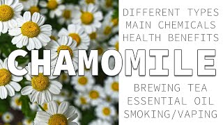 Chamomile Herbalism  Azulenes Health Benefits amp Uses [upl. by Targett]