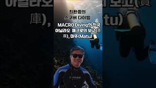 최환종의 스쿠버다이빙 시즌 스쿠버다이빙MACRODiving NembrothaLineolata 불꽃성게 [upl. by Eelrihs]