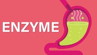 What are Enzymes [upl. by Lilly]