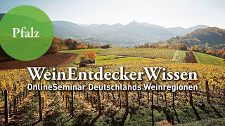 PFALZ – WeinEntdeckerWissen OnlineSeminar Deutschlands Weinregionen [upl. by Spindell]