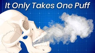 What Smoking Once Does to Your Brain [upl. by Ut823]